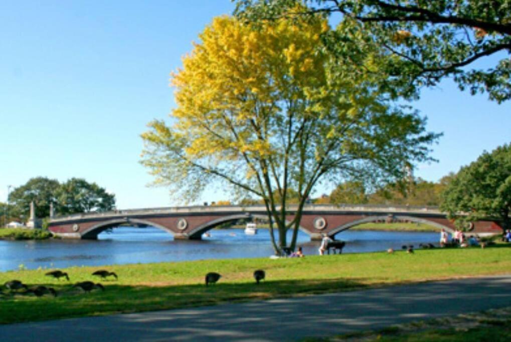 Harvard Squares Only Tiny House On The Charles! Villa Cambridge Bagian luar foto